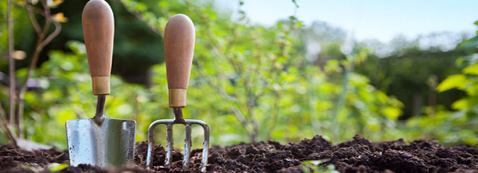 Kent Handyman Service - gardening